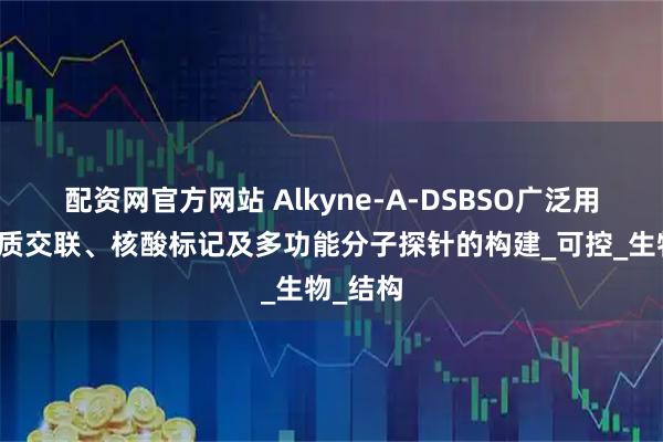 配资网官方网站 Alkyne-A-DSBSO广泛用于蛋白质交联、核酸标记及多功能分子探针的构建_可控_生物_结构