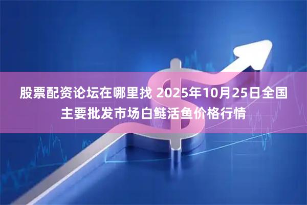 股票配资论坛在哪里找 2025年10月25日全国主要批发市场白鲢活鱼价格行情